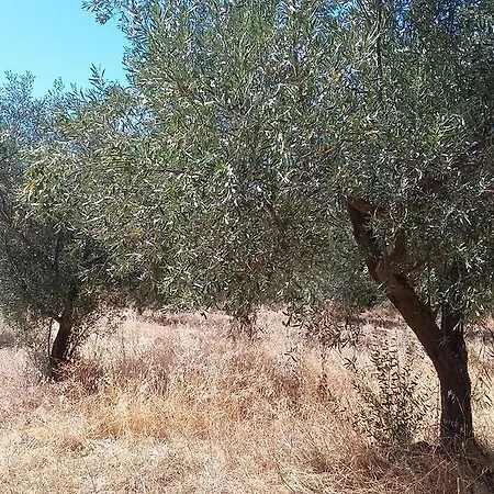 Eftopia Pansion Vendégház 3*