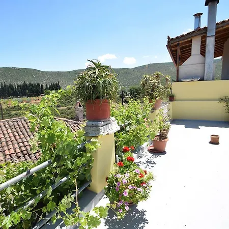 Guest house Eftopia Pansion
