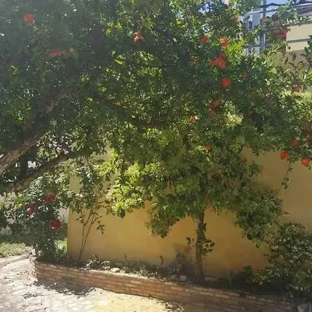 Eftopia Pansion Vendégház Martíno